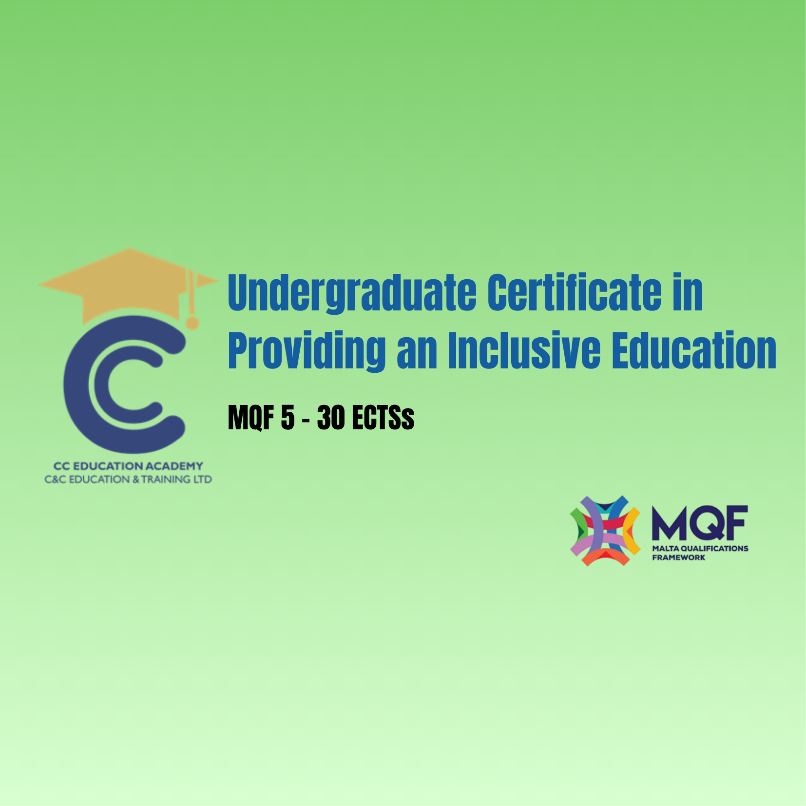 Undergraduate Certificate in Providing an inclusive Education (aka 20 week programme)